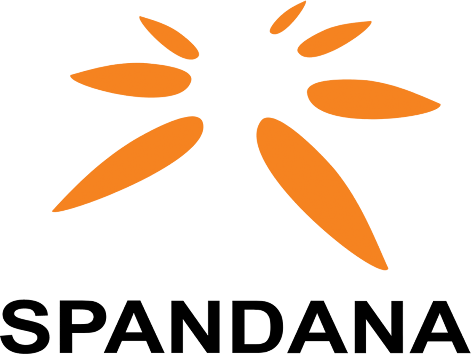 Spandana Sphoorty Raises ₹485 Crore via NCD Allotment on Private Placement Basis