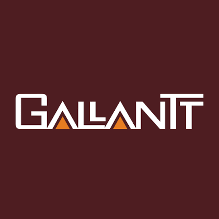 Gallantt Ispat